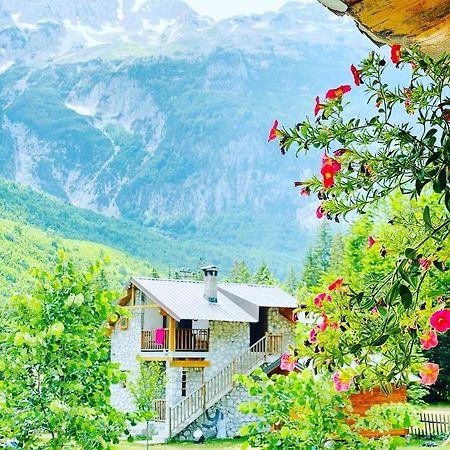 فالبني Krojet E Rrogamit المظهر الخارجي الصورة