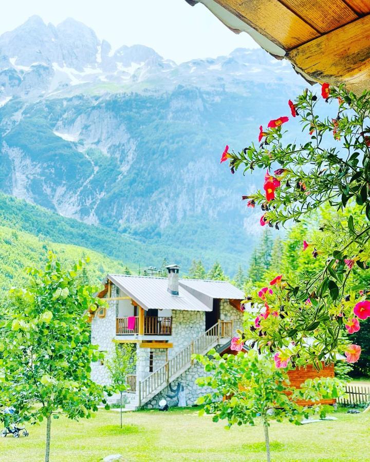 فالبني Krojet E Rrogamit المظهر الخارجي الصورة